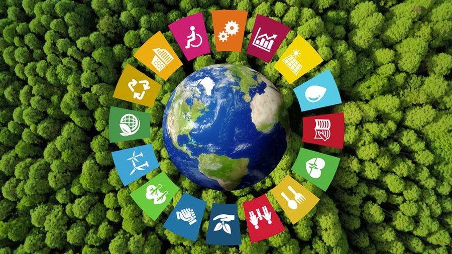 A globe encircled by sustainable development icons over a forest canopy